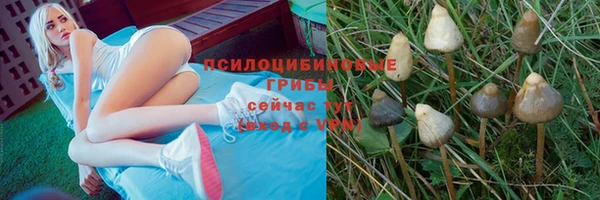 скорость Волосово