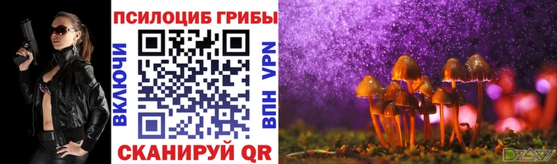 Псилоцибиновые грибы мицелий  закладки  ОМГ ОМГ ссылка  Воркута 